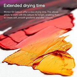  �� ���� ��� WINTON 6 ������ 21 �"�  | Winsor & Newton
