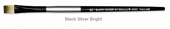 Black Silver ���� 