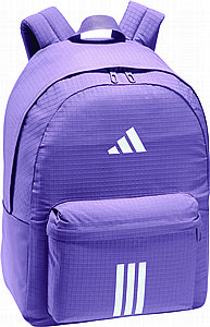 ��� ����� ���� ���� 