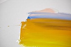 ���� ����� PRO  118 �"� | LIQUITEX