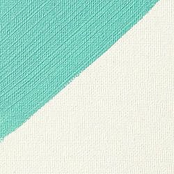 ��� ���� PRO - ����� ������ |  LIQUITEX