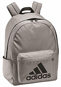 ��� ����� ���� ���� ����