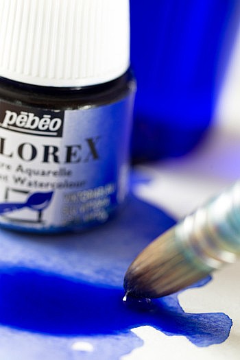 ��� COLOREX 