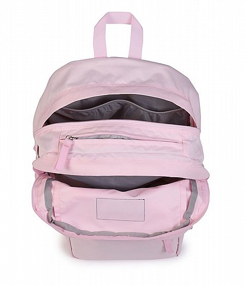 ��� Big Day Pack ���� JANSPORT | Pink Ice