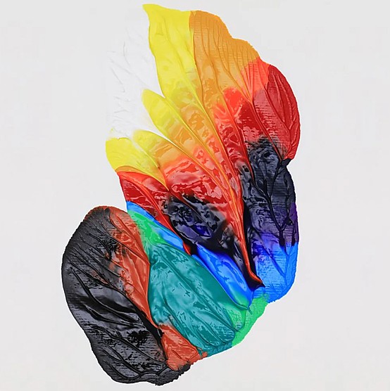 �� ���� ���� 12 �� 